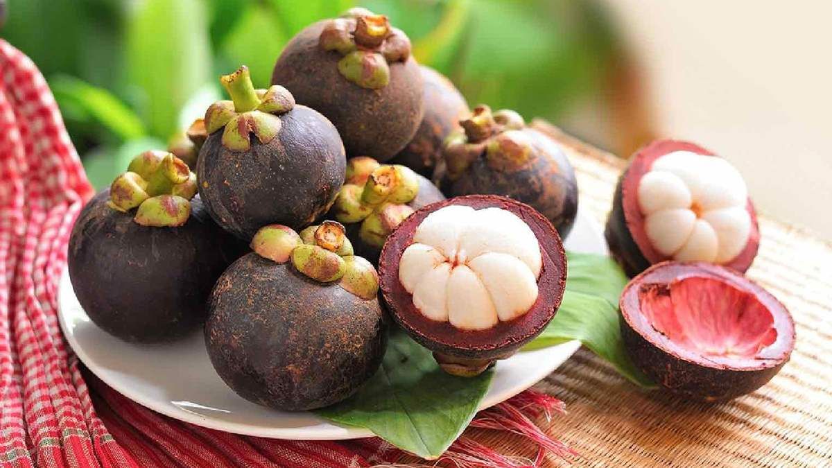 Cách phân biệt măng cụt Lái Thiêu qua trải nghiệm chọn trái ngon đúng mùa của người sành ăn