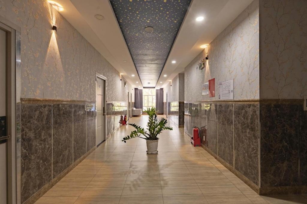 Khách sạn Tân Quý Đô 2: Điểm dừng chân gọn gàng, tiện di chuyển tại Thủ Dầu Một Bình Dương